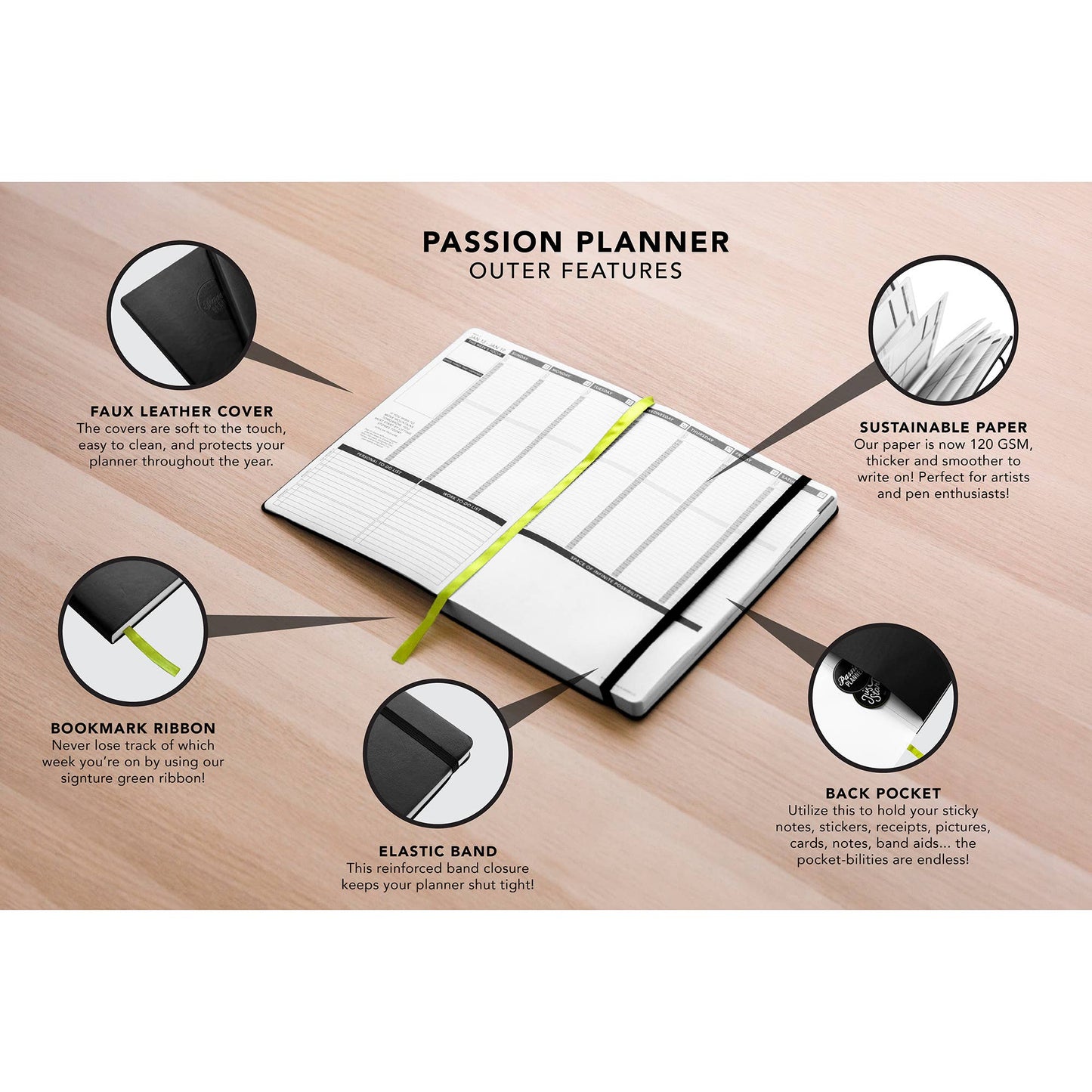Weekly 2024 Planner Evergreen Gilded Magic Large (7.8” x 11”)