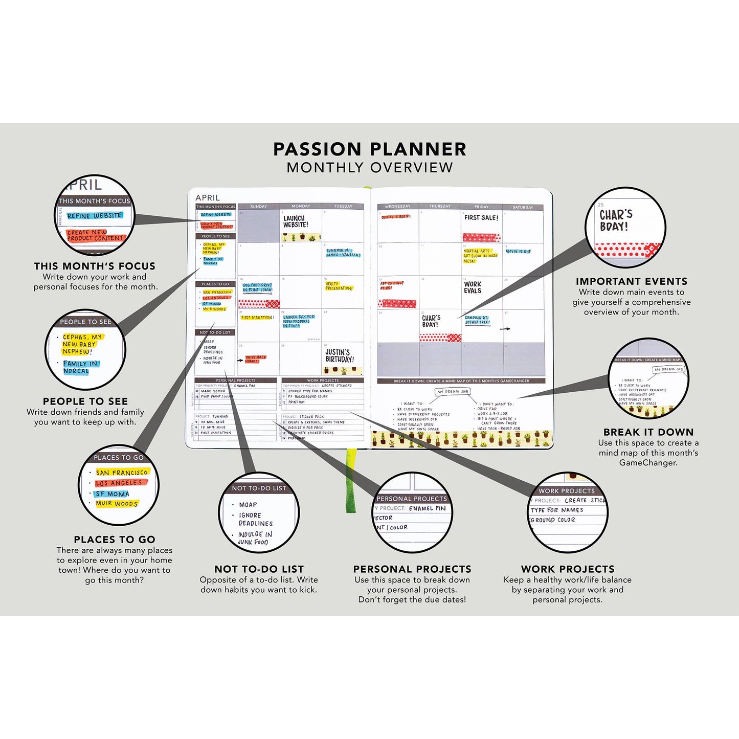 Weekly 2024 Planner Evergreen Gilded Magic Large (7.8” x 11”)
