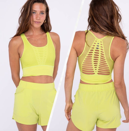 Laser Cut Seamless Sports Bra