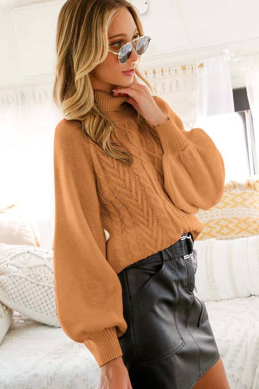 Turtleneck chunky knit Mocha sweater top