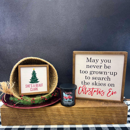 10x10 Christmas Decor - May You Never Be Too Grown To Search