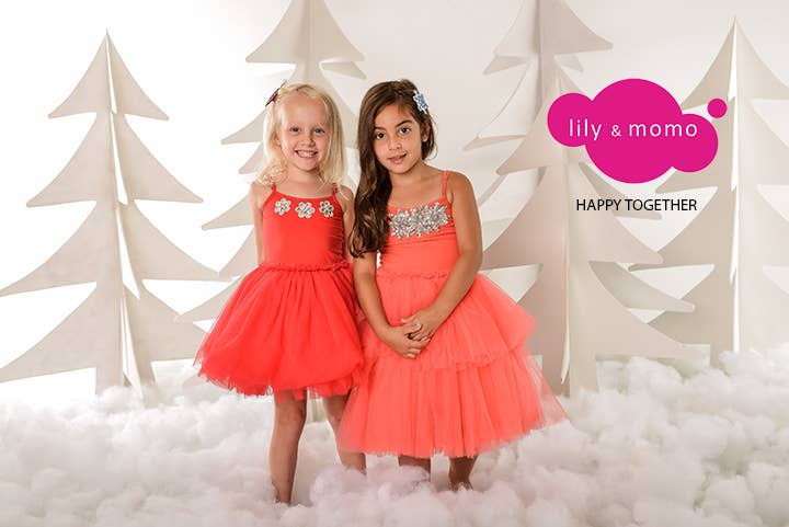 The Gingerbread Friend Hair Clips- Multi