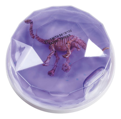 Dinosaur Fossil Putty, Reusable, Tactile