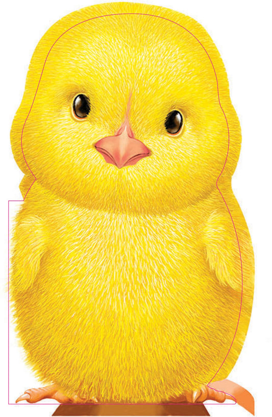 Sourcebooks - Furry Chick (BB)